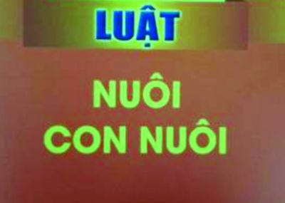 Nu&ocirc;i con nu&ocirc;i