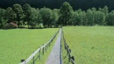 Kh&ocirc;ng c&oacute; lối đi ra đường c&ocirc;ng cộng c&oacute; quyền y&ecirc;u cầu h&agrave;ng x&oacute;m mở lối đi kh&ocirc;ng?